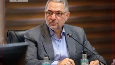 تصویر دبیرکل شورای عالی آموزش و پرورش